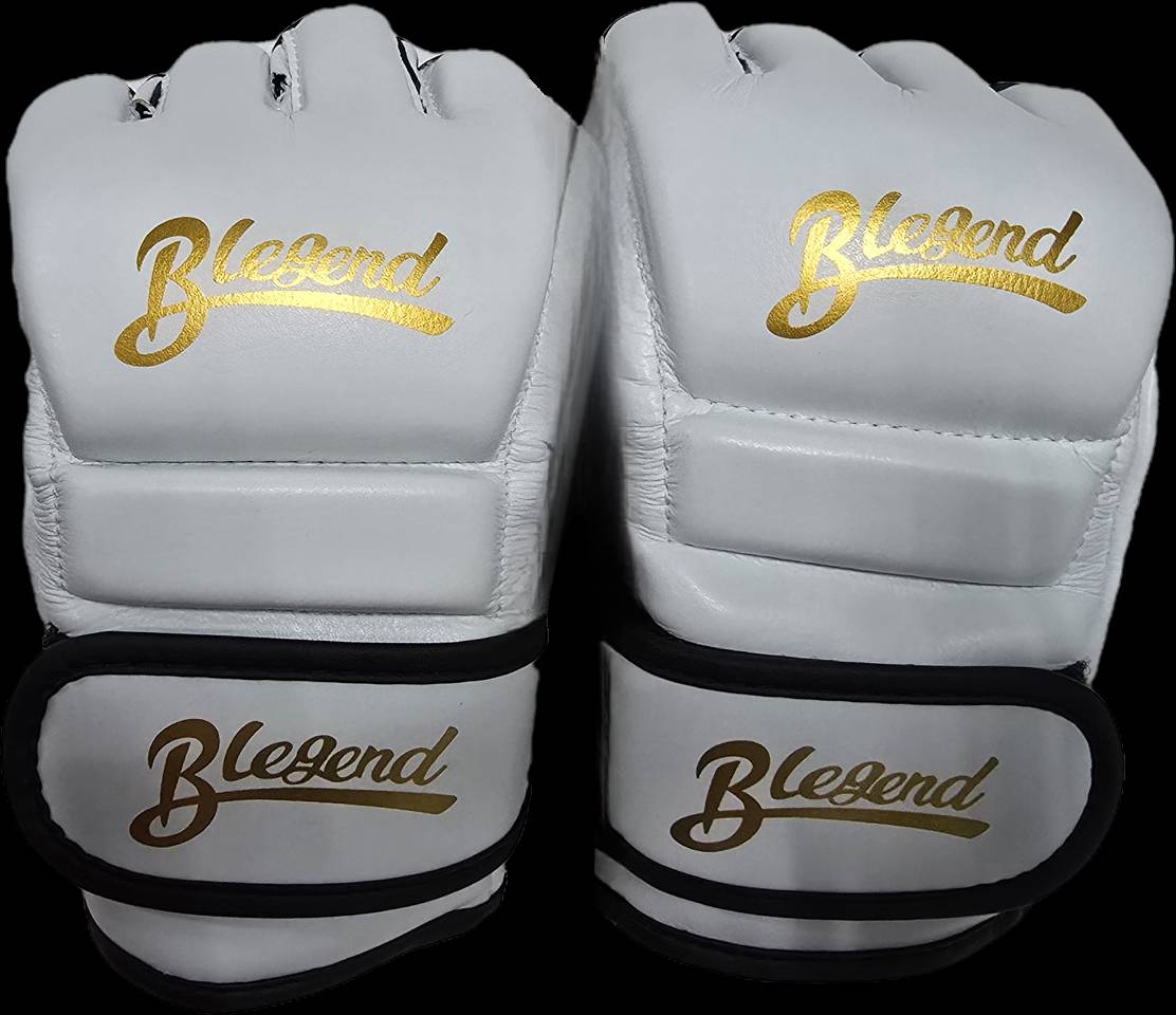 Blegend MMA Fight gloves